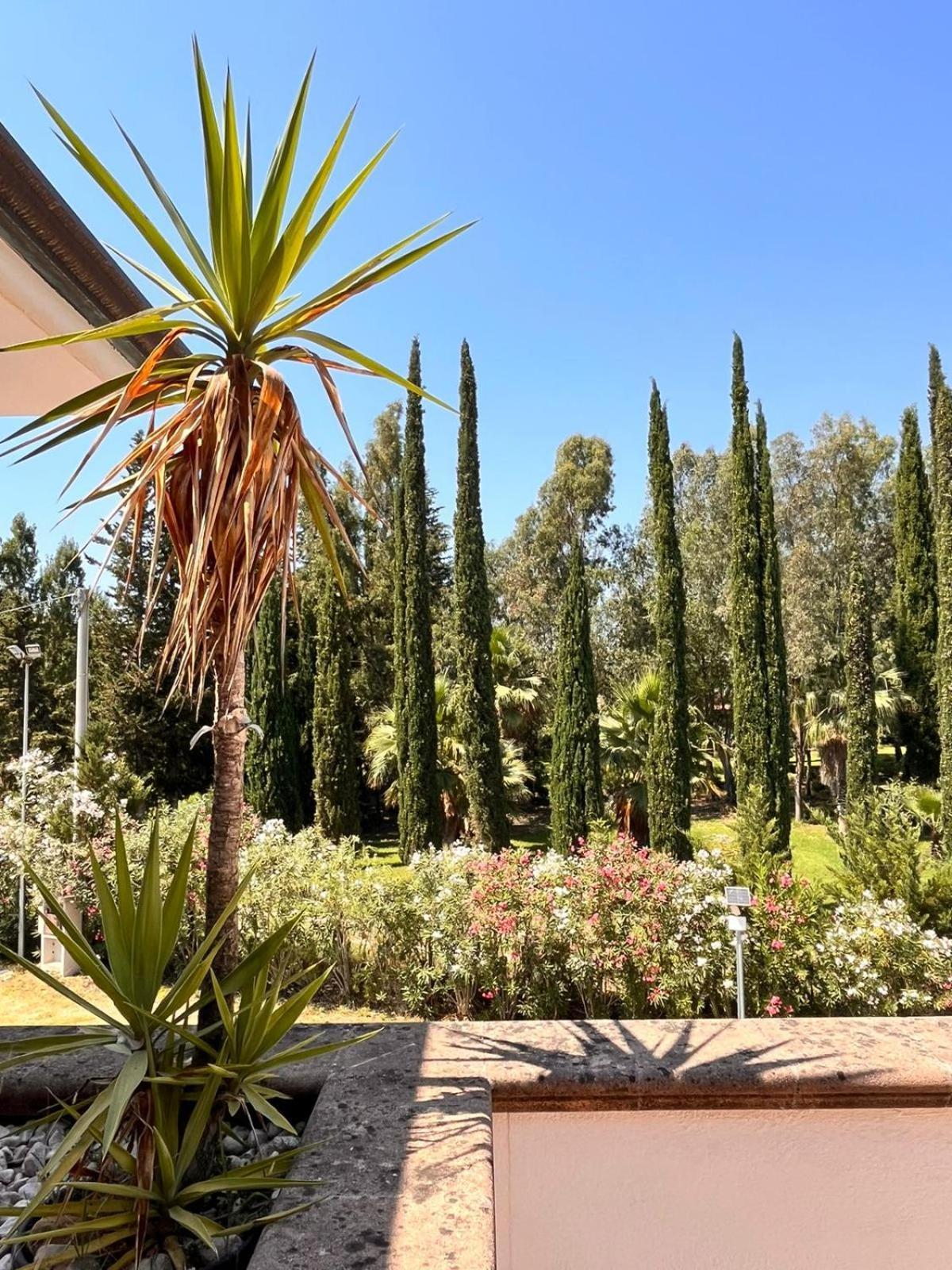 Villa Lia Cilento 카파치오페스툼 외부 사진