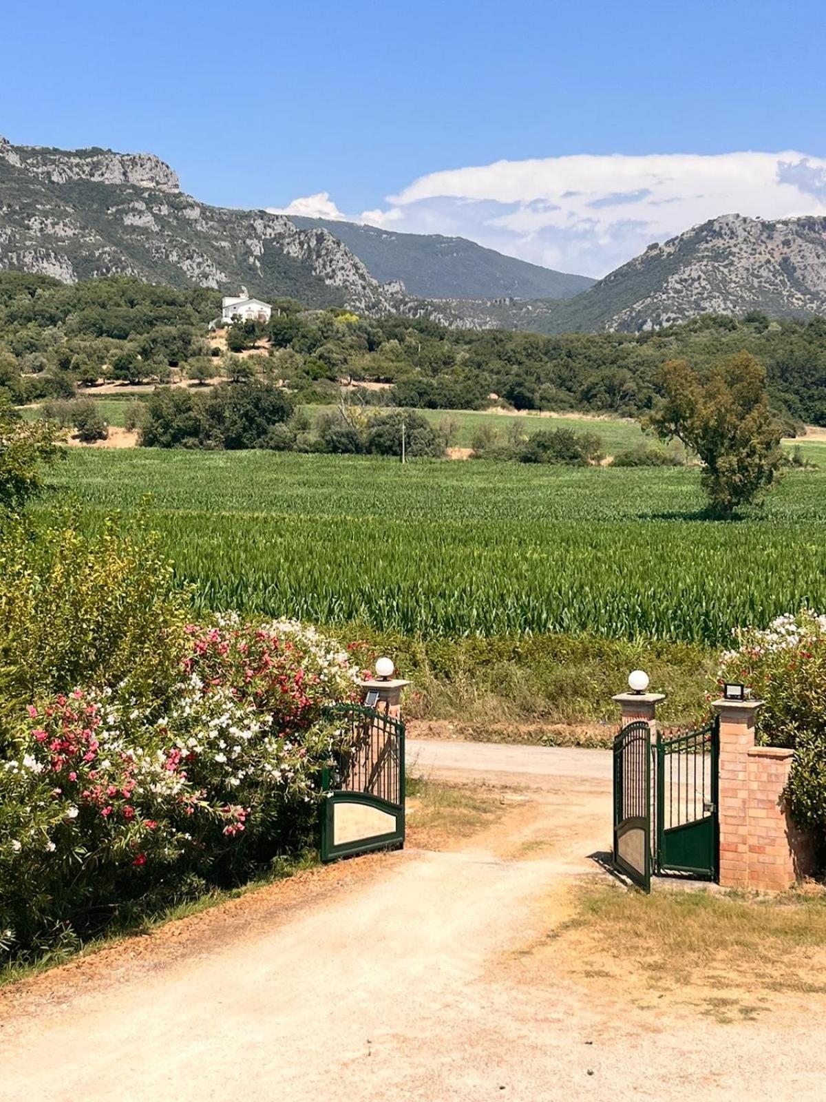 Villa Lia Cilento 카파치오페스툼 외부 사진